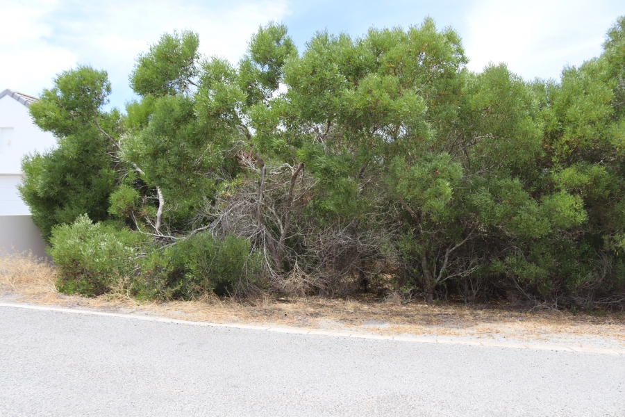 0 Bedroom Property for Sale in Shelley Point Western Cape